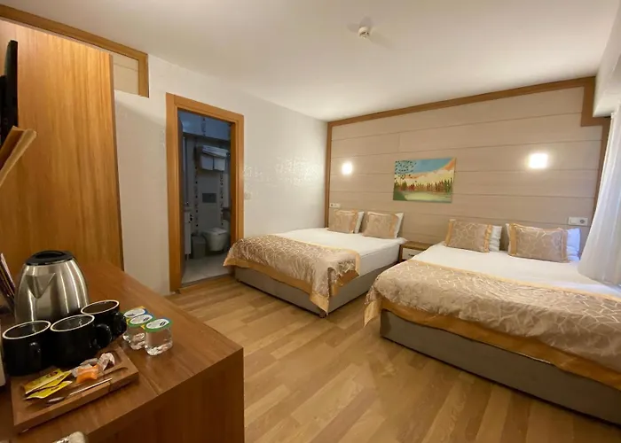 Timeks Sultanahmet 3* איסטמבול